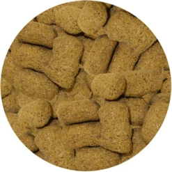 Exotic Nutrition Orange Flavor Monkey Biscuits Small Pet Treats, 14-oz Bag -MiniMates Shop 289564 PT2. AC SS1800 V1620165766