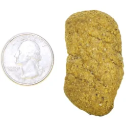 Exotic Nutrition Monkey Biscuits Small Pet Treats, 14-oz Bag -MiniMates Shop 289566 PT3. AC SS1800 V1620164594