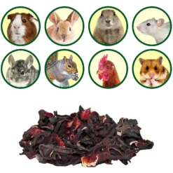 Exotic Nutrition Hibiscus Flower Small Pet Treats, 1-oz Bag -MiniMates Shop 289568 PT3. AC SS1800 V1620167627