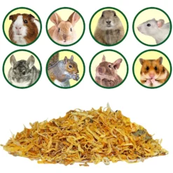 Exotic Nutrition Marigold Calendula Officinalis Flower Small Pet Treats, 1-oz Bag 8 Exotic Nutrition Marigold Calendula Officinalis Flower Small Pet Treats, 1-oz Bag -MiniMates Shop 289570 PT3. AC SS1800 V1620165447