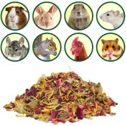 Exotic Nutrition Flower Fusion Small Pet Treats, 0.88-oz Bag -MiniMates Shop 289574 PT3. AC SS1800 V1620167021