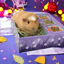 Sweet Meadow Farm Bunny Bento Box Western Timothy, Papaya & Marigold Small Pet Treat, 10-oz Box