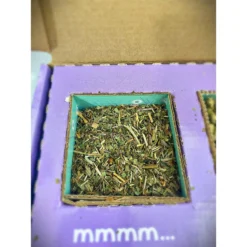 Sweet Meadow Farm Bunny Bento Box Western Timothy, Whole Oats & Dandelion Small Pet Treat -MiniMates Shop 290543 PT3. AC SS1800 V1635298287