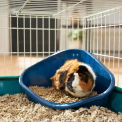 Frisco Corner Small Pet Litter Box & Frisco Small Pet Paper Bedding -MiniMates Shop 301918 PT3. AC SS1800 V1644972101