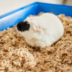 Frisco High Sided Small Pet Litter Box & Frisco Small Pet Paper Bedding -MiniMates Shop 301934 PT6. AC SS1800 V1644966762