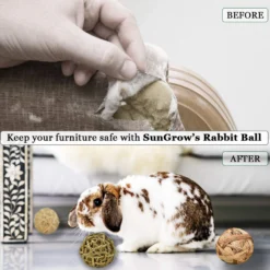 SunGrow Rabbit Assorted Chew Ball Treats Cat & Guinea Pig Teeth Cleaning & Grinder, 3 Count 9 SunGrow Rabbit Assorted Chew Ball Treats Cat & Guinea Pig Teeth Cleaning & Grinder, 3 Count -MiniMates Shop 304743 PT3. AC SS1800 V1666185624