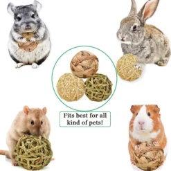 SunGrow Rabbit Assorted Chew Ball Treats Cat & Guinea Pig Teeth Cleaning & Grinder, 3 Count 10 SunGrow Rabbit Assorted Chew Ball Treats Cat & Guinea Pig Teeth Cleaning & Grinder, 3 Count -MiniMates Shop 304743 PT4. AC SS1800 V1666130418