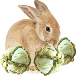 SunGrow Corn Leaf Balls Teeth Grinding Guinea Pig & Rabbit Treat, 3 Count