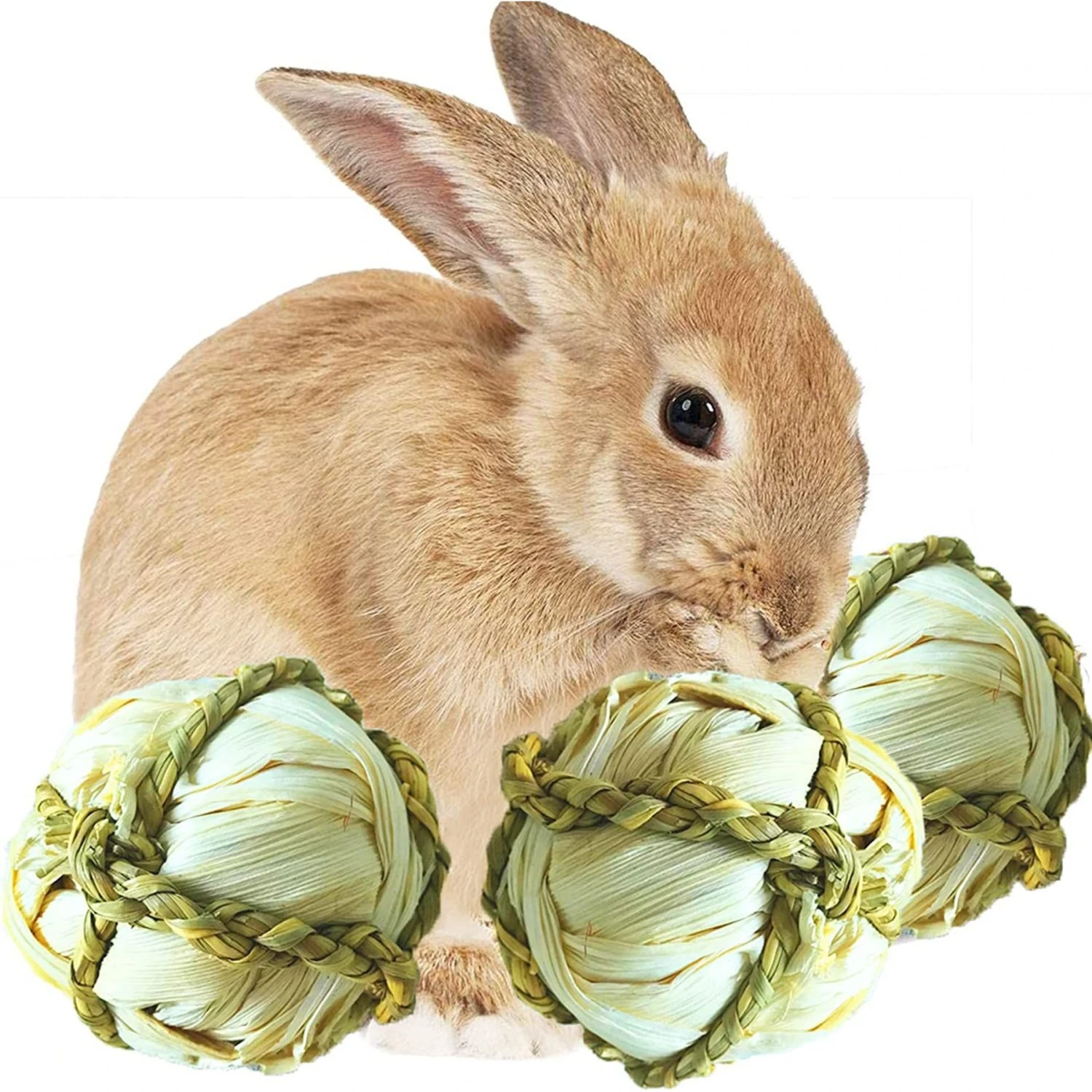 SunGrow Corn Leaf Balls Teeth Grinding Guinea Pig & Rabbit Treat, 3 Count 1 SunGrow Corn Leaf Balls Teeth Grinding Guinea Pig & Rabbit Treat, 3 Count