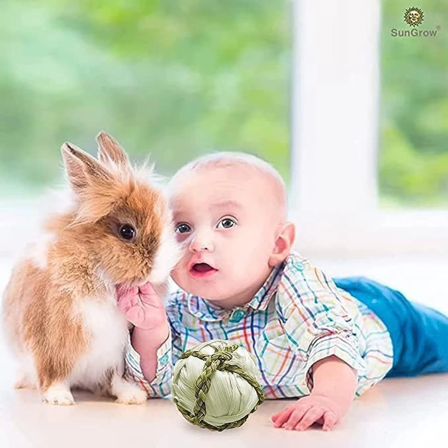 SunGrow Corn Leaf Balls Teeth Grinding Guinea Pig & Rabbit Treat, 3 Count 3 SunGrow Corn Leaf Balls Teeth Grinding Guinea Pig & Rabbit Treat, 3 Count - Image 3