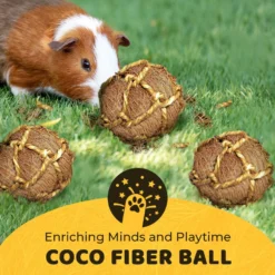 SunGrow Coconut Fiber Rabbit & Guinea Pigs Chew & Exercise Balls Teeth Grinding Treat -MiniMates Shop 304749 PT3. AC SS1800 V1700001397