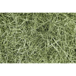 BM Hay Company Orchard Hay Small Pet Food, 8-lb Box -MiniMates Shop 306882 PT4. AC SS1800 V1626192987