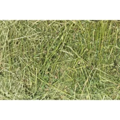 BM Hay Company Alfalfa Hay Small Pet Food, 8-lb Box -MiniMates Shop 306884 PT3. AC SS1800 V1626192092