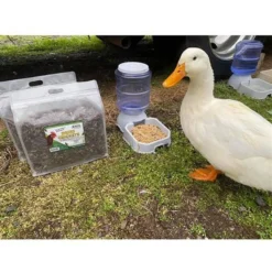 Exotic Nutrition Dried Crickets Small Animal Treats, 2.2-lb Bag 7 Exotic Nutrition Dried Crickets Small Animal Treats, 2.2-lb Bag -MiniMates Shop 309123 PT3. AC SS1800 V1666190704