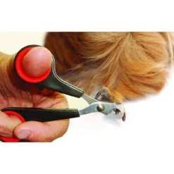 Lixit Small Animal Grooming Kit -MiniMates Shop 309616 PT3. AC SS1800 V1624627391