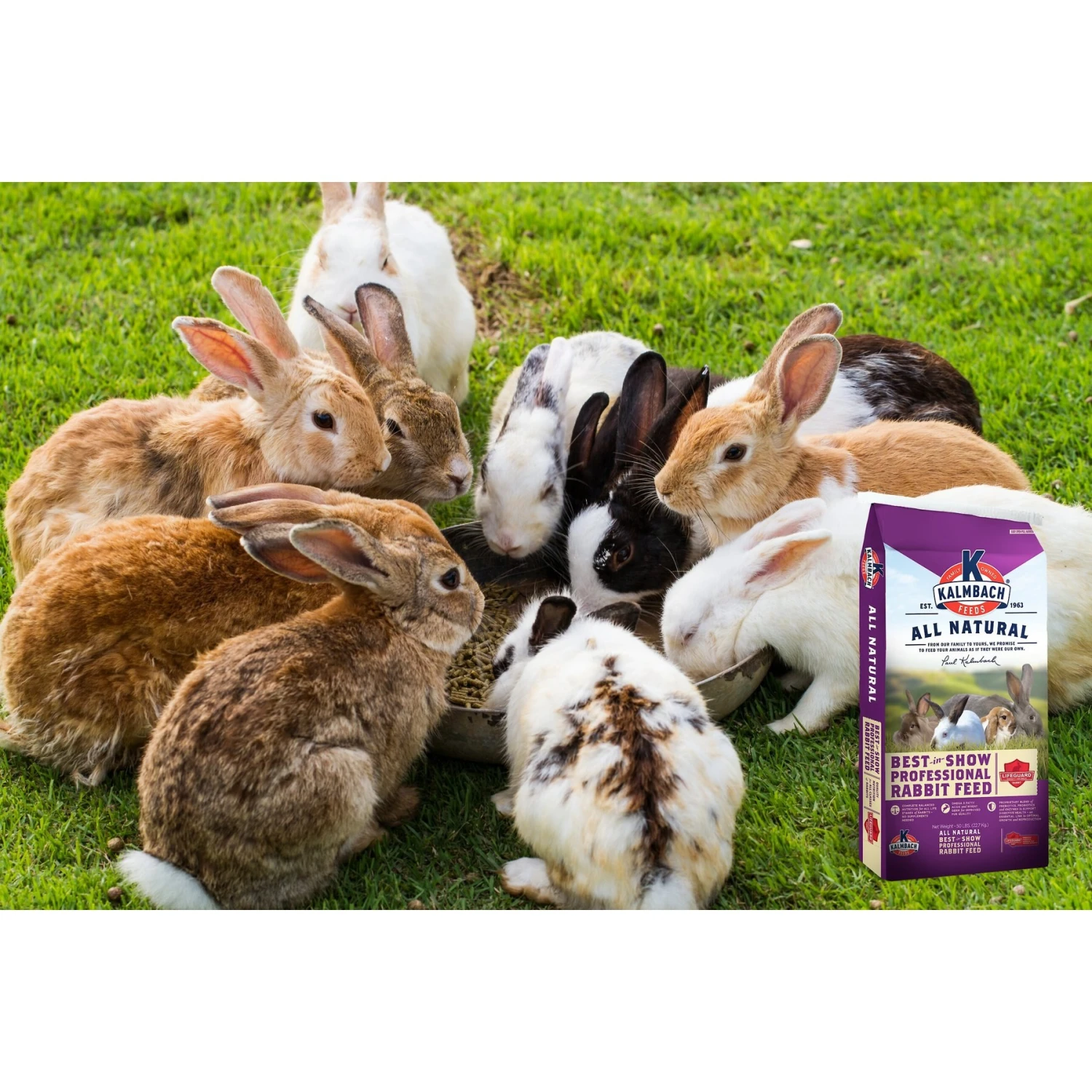 Kalmbach Feeds Best In Show 18% Professional Rabbit Feed, 50-lb Bag 5 Kalmbach Feeds Best In Show 18% Professional Rabbit Feed, 50-lb Bag - Image 5
