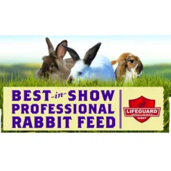 Kalmbach Feeds Best In Show 16% Professional Rabbit Feed, 50-lb Bag -MiniMates Shop 315442 PT4. AC SS1800 V1626733021