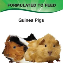 L'Avian Plus Guinea Pig Food, 4.5-lb Jar 9 L'Avian Plus Guinea Pig Food, 4.5-lb Jar -MiniMates Shop 316142 PT2. AC SS1800 V1630338976