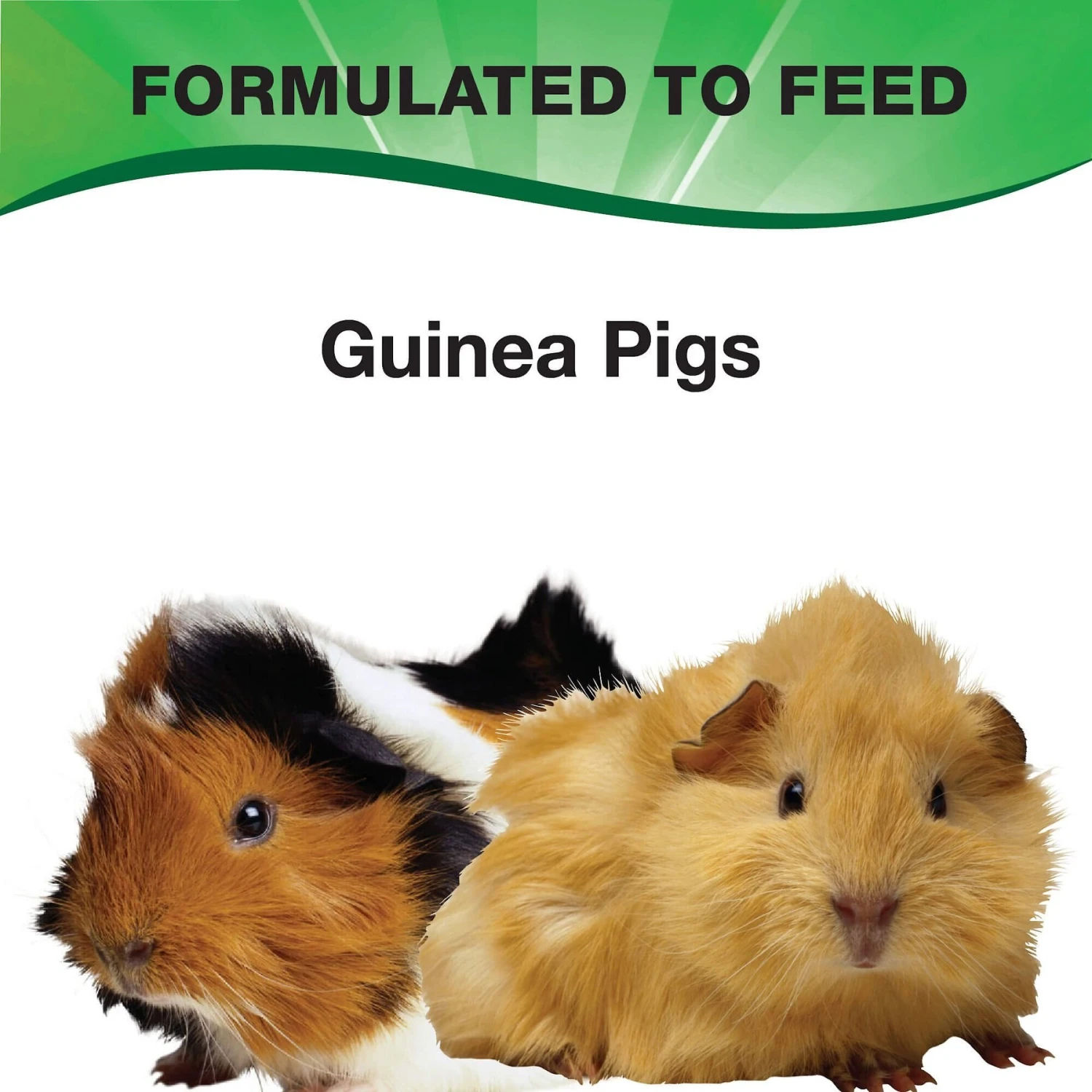 L'Avian Plus Guinea Pig Food, 4.5-lb Jar 3 L'Avian Plus Guinea Pig Food, 4.5-lb Jar - Image 3