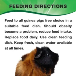 L'Avian Plus Guinea Pig Food, 4.5-lb Jar 13 L'Avian Plus Guinea Pig Food, 4.5-lb Jar -MiniMates Shop 316142 PT6. AC SS1800 V1630339324