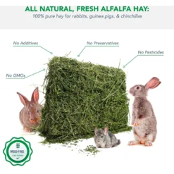 Viking Farmer Alfalfa Hay For Rabbits & Small Pets 9 Viking Farmer Alfalfa Hay For Rabbits & Small Pets -MiniMates Shop 325930 PT2. AC SS1800 V1634836584