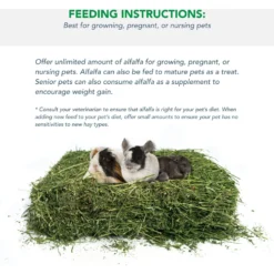 Viking Farmer Alfalfa Hay For Rabbits & Small Pets 10 Viking Farmer Alfalfa Hay For Rabbits & Small Pets -MiniMates Shop 325930 PT3. AC SS1800 V1634835095