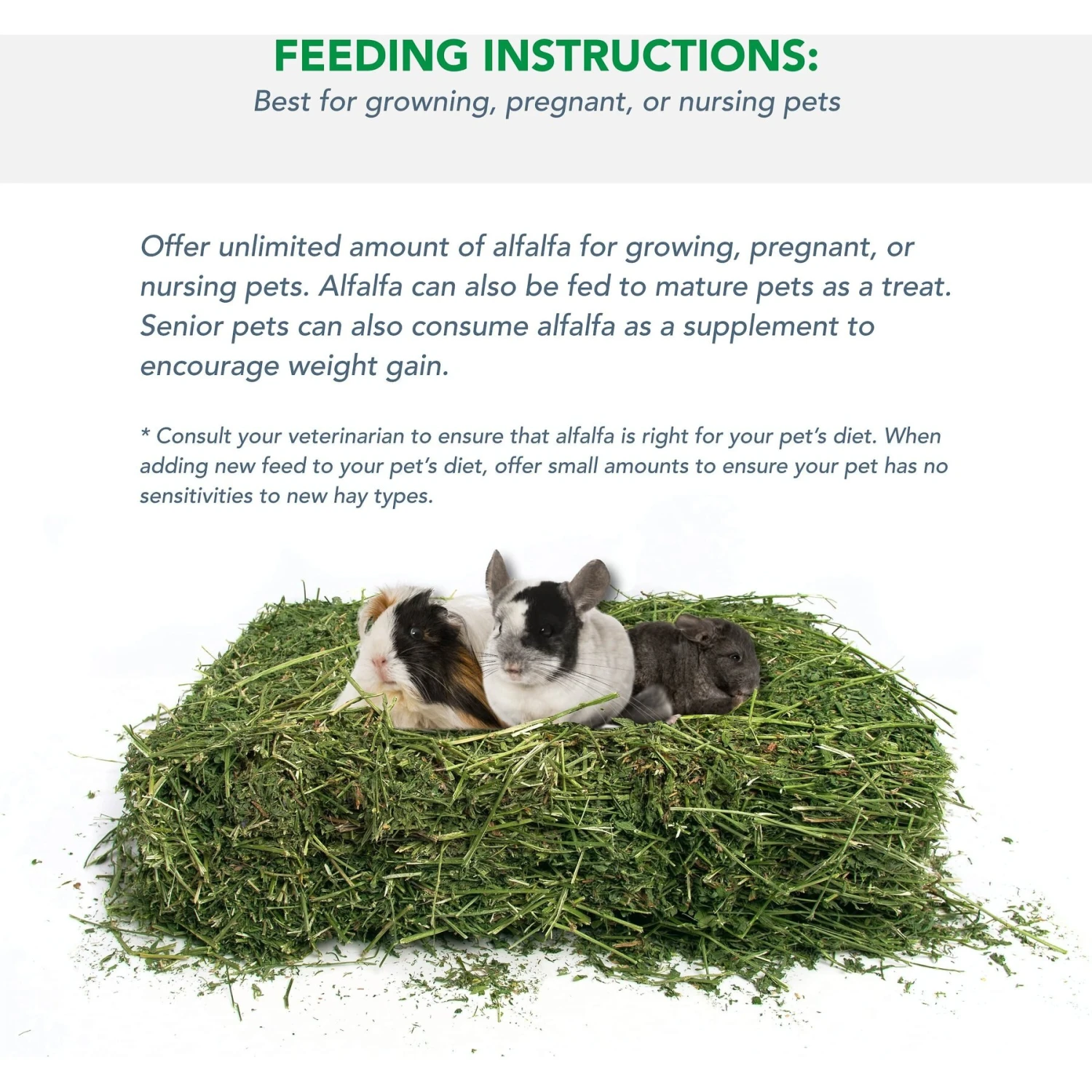 Viking Farmer Alfalfa Hay For Rabbits & Small Pets 4 Viking Farmer Alfalfa Hay For Rabbits & Small Pets - Image 4