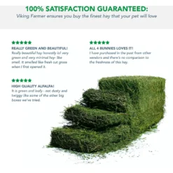 Viking Farmer Alfalfa Hay For Rabbits & Small Pets 11 Viking Farmer Alfalfa Hay For Rabbits & Small Pets -MiniMates Shop 325930 PT4. AC SS1800 V1634834832