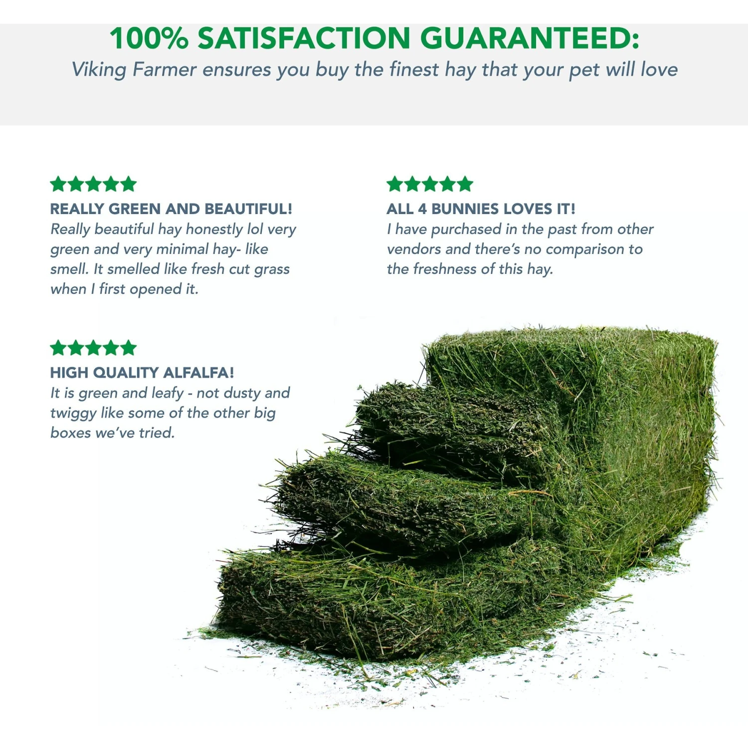 Viking Farmer Alfalfa Hay For Rabbits & Small Pets 5 Viking Farmer Alfalfa Hay For Rabbits & Small Pets - Image 5