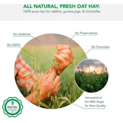 Viking Farmer Oat Hay For Rabbits & Small Pets, 5-lb -MiniMates Shop 325932 PT2. AC SS1800 V1634835744