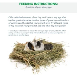 Viking Farmer Oat Hay For Rabbits & Small Pets, 5-lb -MiniMates Shop 325932 PT3. AC SS1800 V1634836060