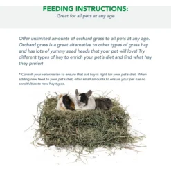 Viking Farmer Orchard Grass For Rabbits & Small Pets, 5-lb -MiniMates Shop 325934 PT3. AC SS1800 V1634835385