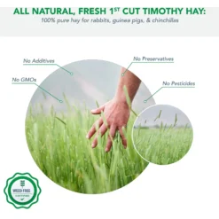 Viking Farmer 1st Cut Timothy Hay For Rabbits & Small Pets, 5-lb -MiniMates Shop 325936 PT2. AC SS1800 V1634931700