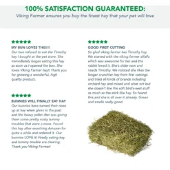 Viking Farmer 1st Cut Timothy Hay For Rabbits & Small Pets, 5-lb -MiniMates Shop 325936 PT4. AC SS1800 V1634931242