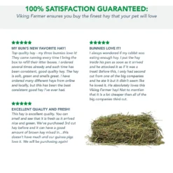 Viking Farmer 3rd Cut Timothy Hay For Rabbits & Small Pets, 5-lb -MiniMates Shop 325938 PT4. AC SS1800 V1634834788