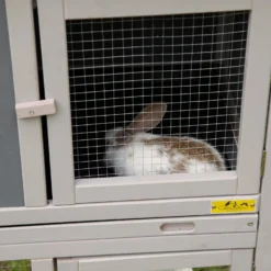 Coziwow By Jaxpety Wooden Rabbit Hutch Bunny Cage Two Story Habitats -MiniMates Shop 330669 PT8. AC SS1800 V1663603172