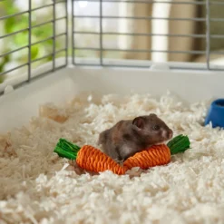 Frisco Carrot Small Pet Chew Toy 6 Frisco Carrot Small Pet Chew Toy -MiniMates Shop 330867 PT2. AC SS1800 V1659546417