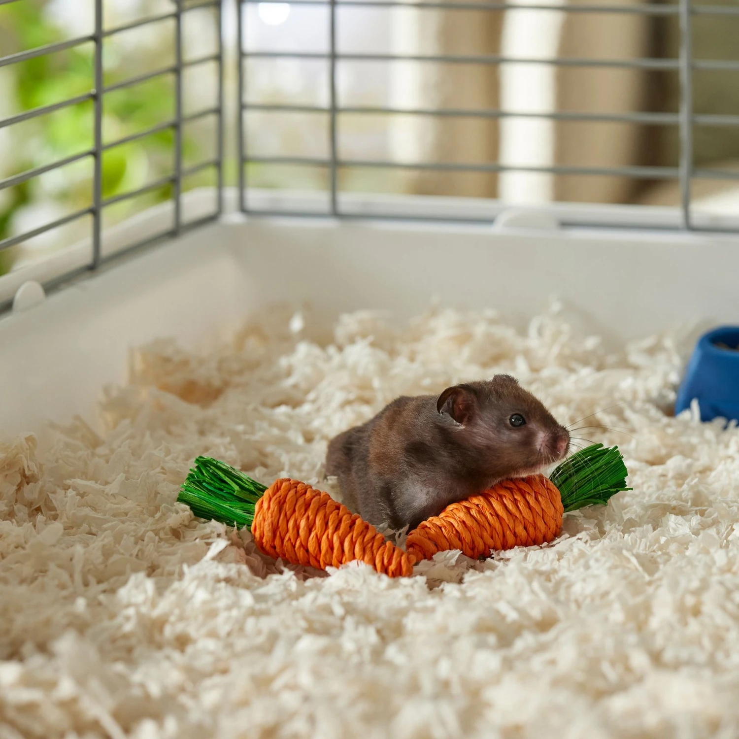 Frisco Carrot Small Pet Chew Toy 3 Frisco Carrot Small Pet Chew Toy - Image 3