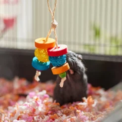 Frisco Dangly Wooden Small Pet Chew Toy 5 Frisco Dangly Wooden Small Pet Chew Toy -MiniMates Shop 330871 PT3. AC SS1800 V1647530133