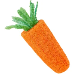 Frisco Carrot Loofah Small Pet Chew Toy