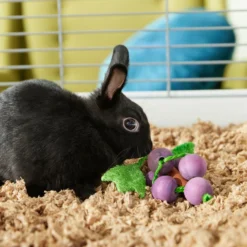 Frisco Wooden Grape Vine Small Pet Chew Toy -MiniMates Shop 330881 PT2. AC SS1800 V1659546416