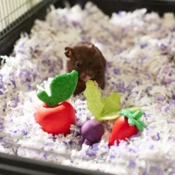 Frisco Wooden Fruit Assortment Small Pet Chew Toy -MiniMates Shop 330883 PT2. AC SS1800 V1647530150