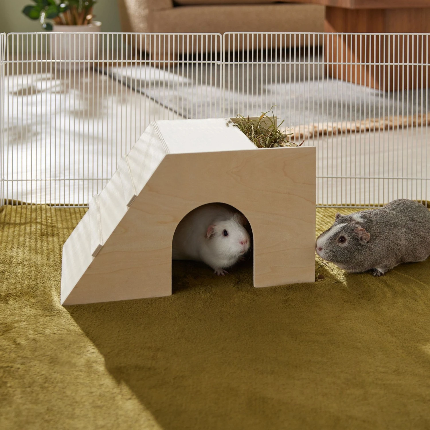 Front Page -MiniMates Shop 330888 MAIN. AC SS1800 V1659546417