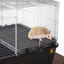 Prevue Pet Products Deluxe Hamster Home 14 Prevue Pet Products Deluxe Hamster Home -MiniMates Shop 333138 PT5. AC SS1800 V1634160386