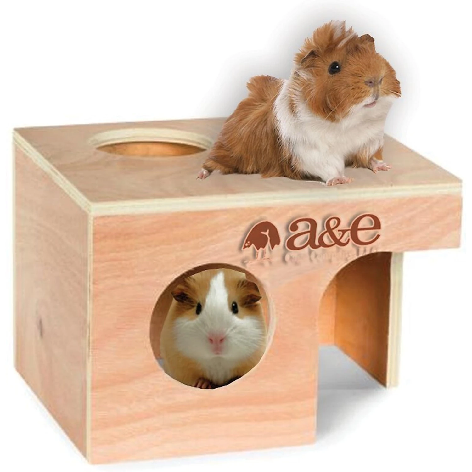 A&E Cage Company Guinea Pig Hut 1 A&E Cage Company Guinea Pig Hut