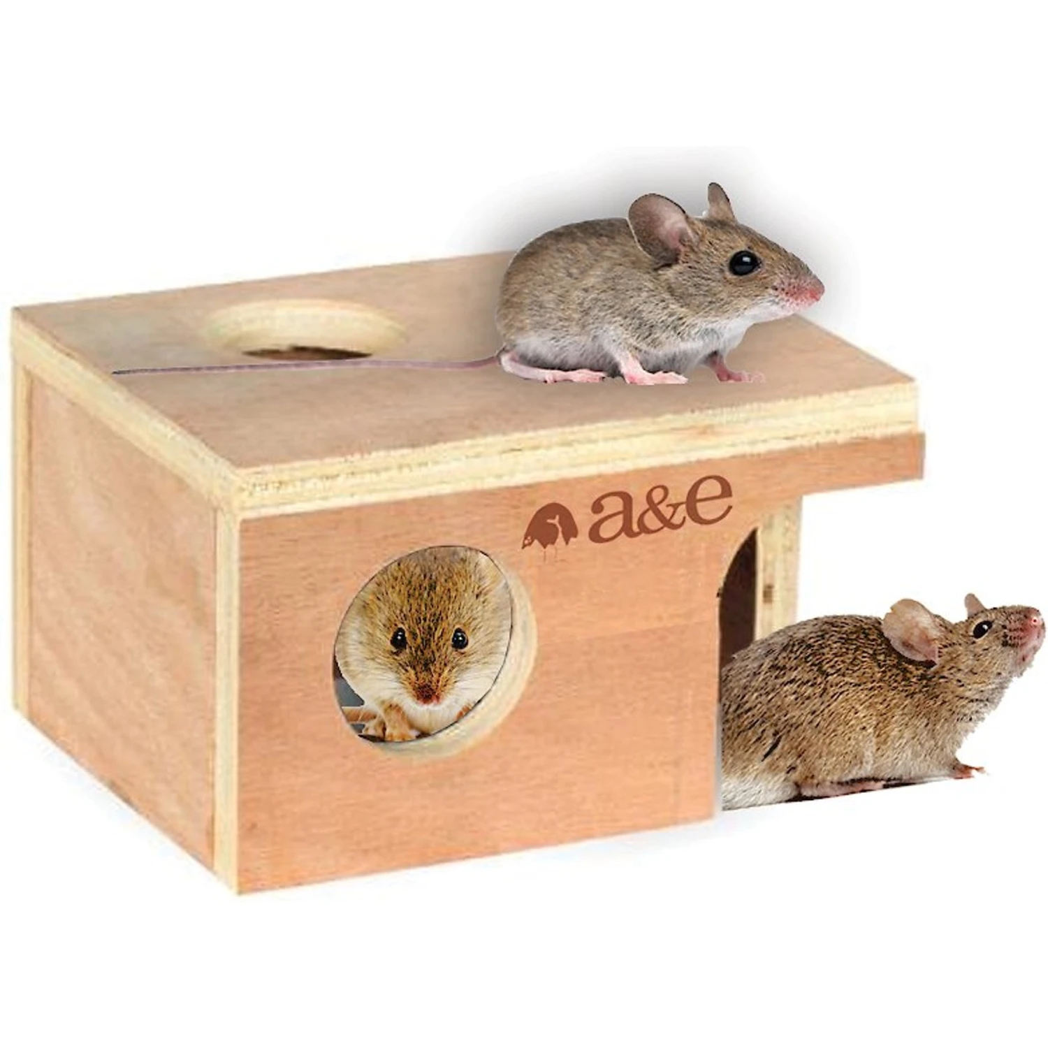 A&E Cage Company Small Mouse Hut 1 A&E Cage Company Small Mouse Hut