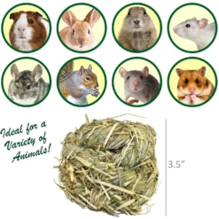 Exotic Nutrition Natural Timothy Play Ball Small Animal Treat -MiniMates Shop 347558 PT2. AC SS1800 V1666184306