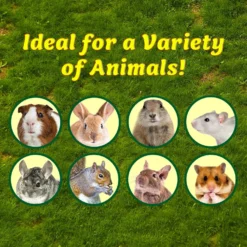 Exotic Nutrition Munchers Carrot Crunchers Small Animal Treat -MiniMates Shop 347560 PT5. AC SS1800 V1657657093