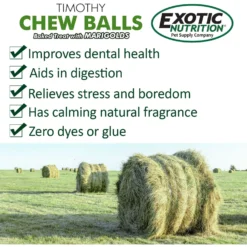 Exotic Nutrition Munchers Marigold & Timothy Chew Balls Small Animal Treats, 6 Count 11 Exotic Nutrition Munchers Marigold & Timothy Chew Balls Small Animal Treats, 6 Count -MiniMates Shop 347564 PT5. AC SS1800 V1669908465