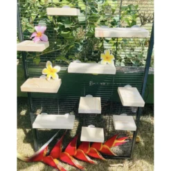 CrazyCritterThings Kiln Dried Pine Leaping Ledges Small Pet Habitat Accessory